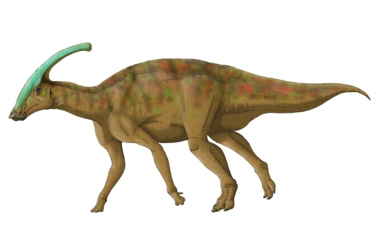 Charonosaurus jiayinensis 3
