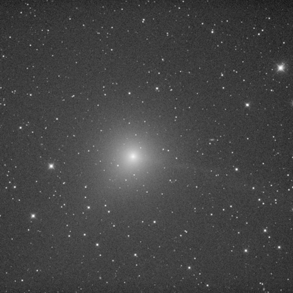 Comet Iwamoto(C2018Y1)_2019Feb11-2