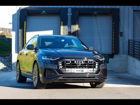 HR Audi Q8 [2019] 001