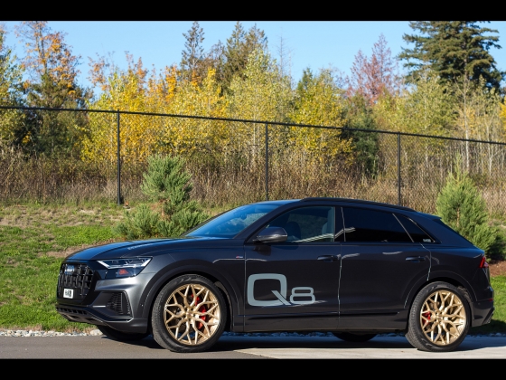 HR Audi Q8 [2019] 002