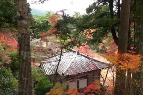 京都 高雄山 神護寺の紅葉17