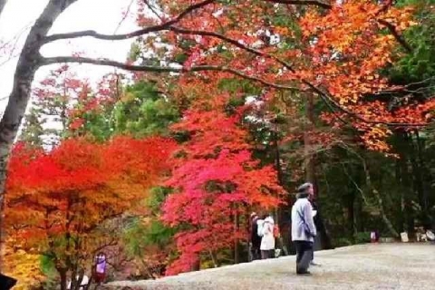 京都 高雄山 神護寺の紅葉18
