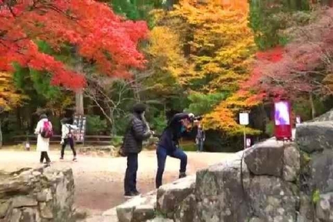京都 高雄山 神護寺の紅葉15