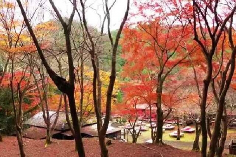 京都 高雄山 神護寺の紅葉21