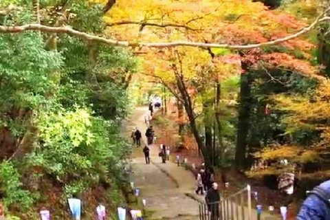 京都 高雄山 神護寺の紅葉20