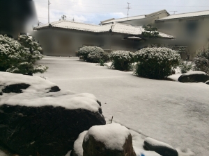 今朝の積雪