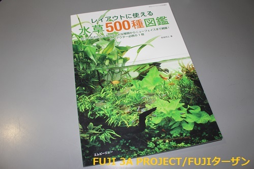 エムピージェーレイアウトに使える水草500種図鑑