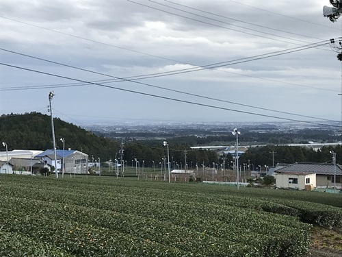 水沢茶畑