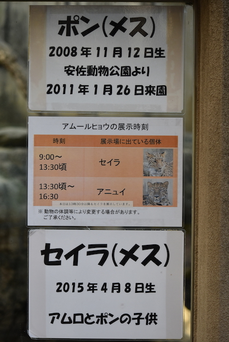 2018:12:27 王子動物園その10