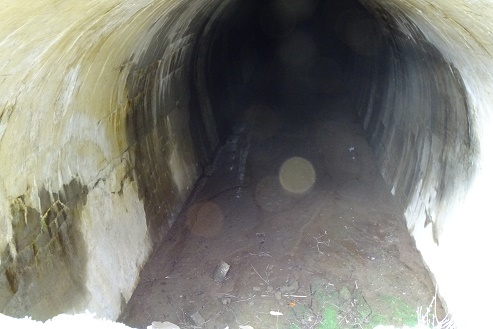 旧青山トンネル (12)