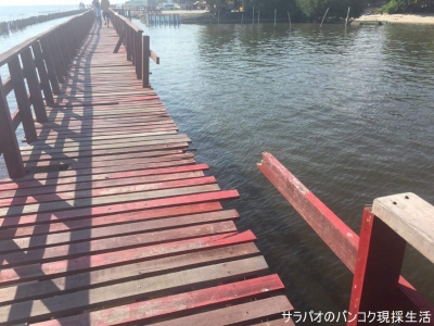 สะพานแดง จุดชมวิวปลาโลมา