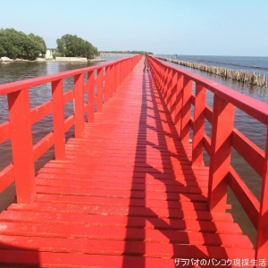 สะพานแดง จุดชมวิวปลาโลมา
