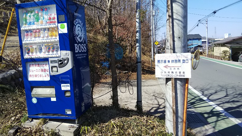 カタクリとオオムラサキの林入口201902