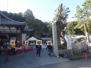 滋賀大野神社初詣