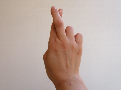 指の形