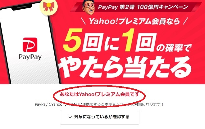PayPayキャンペーン (1)